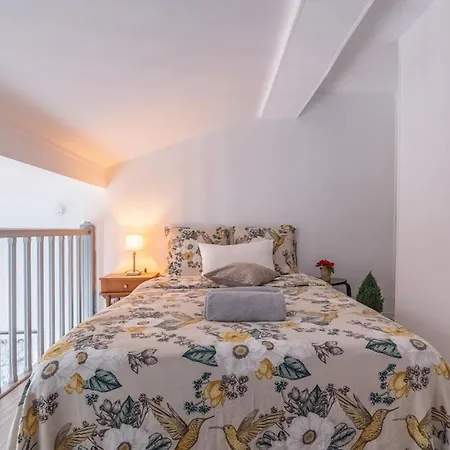Duplex - Spacieux Et Lumineux Διαμέρισμα Τουλούζη
